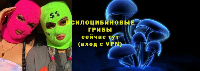 купить наркотики цена  MEGA сайт  Псилоцибиновые грибы Cubensis  Ангарск 